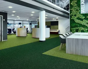 Flotex Colour Tiles